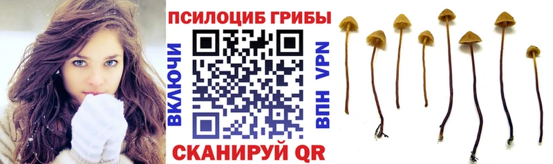 Галлюциногенные грибы Psilocybine cubensis  ОМГ ОМГ маркетплейс  Кувшиново  цена наркотик 